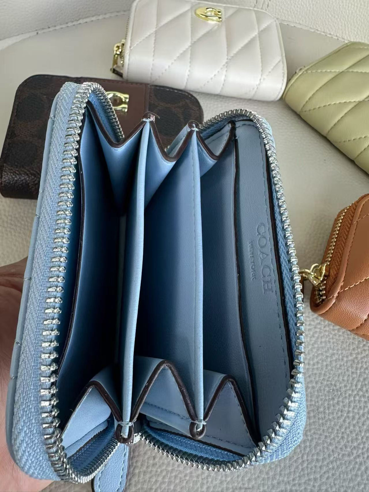C Essential Small Zip Around Card Case