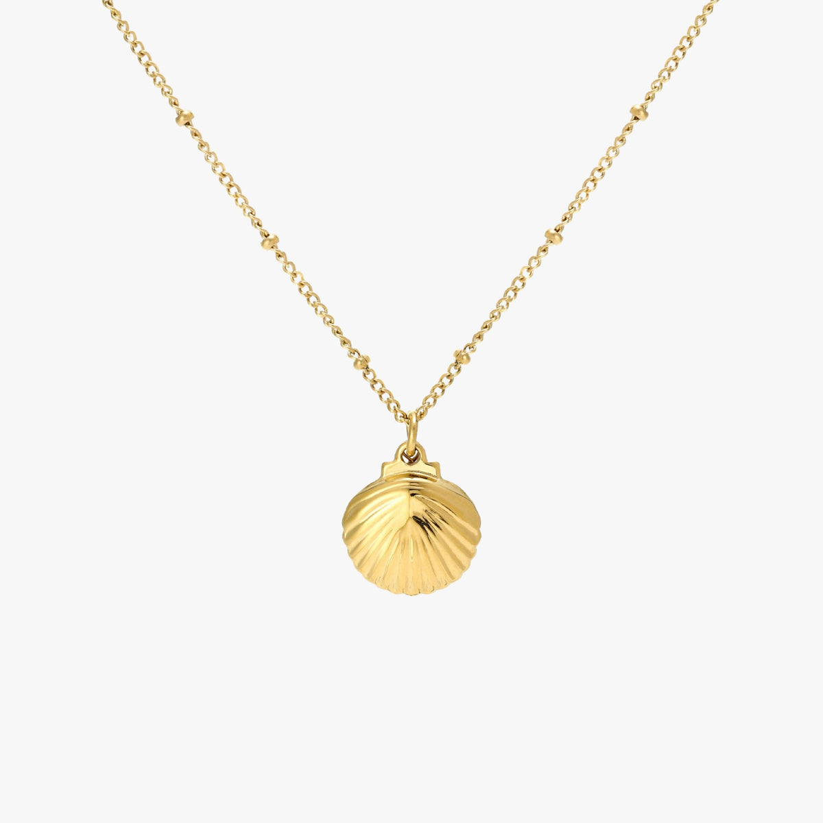 Seashell Necklace
